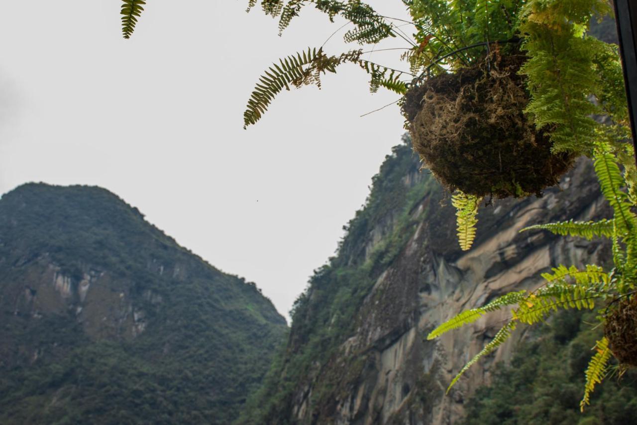 Runas Inn Machupicchu Екстер'єр фото