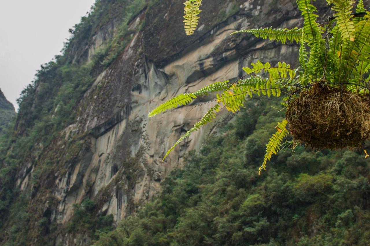 Runas Inn Machupicchu Екстер'єр фото